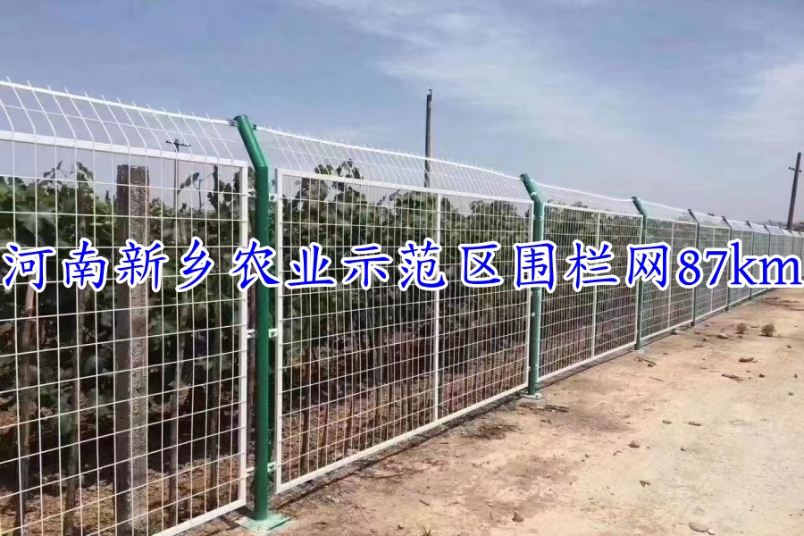 工程案例